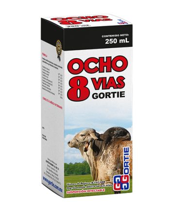 OCHO VÍAS GORTIE