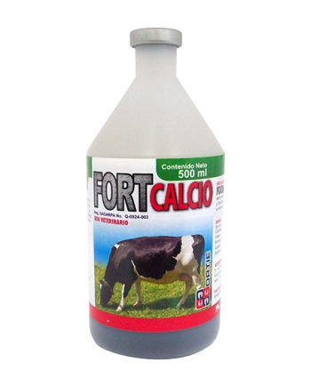 FORTCALCIO
