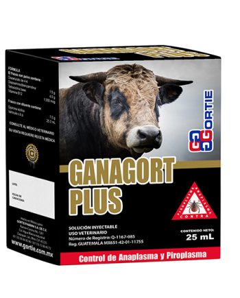 GANAGORT PLUS
