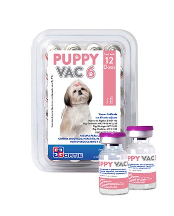 PUPPY VAC 6